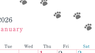 2026年1月カレンダーは縦型月曜始まりで猫が自由気ままに歩き回った足あとがかわいい♪ダウンロード無料♪(2026-01260111)