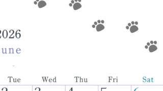 2026年6月カレンダーは縦型月曜始まりで猫が自由気ままに歩き回った足あとがかわいい♪ダウンロード無料♪(2026-01260611)