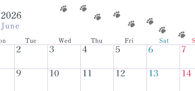 2026年6月カレンダーは横型月曜始まりで猫が自由気ままに歩き回った足あとがかわいい♪ダウンロード無料♪(2026-01260601)
