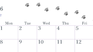 2026年6月カレンダーは横型日曜始まりで猫が自由気ままに歩き回った足あとがかわいい♪ダウンロード無料♪(2026-01260600)