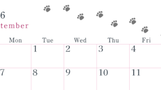 2026年9月カレンダーは横型日曜始まりで猫が自由気ままに歩き回った足あとがかわいい♪ダウンロード無料♪(2026-01260900)