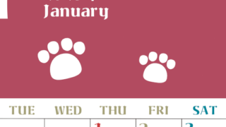 2026年1月カレンダーは縦型月曜始まりで猫の肉球がおしゃれかわいいカラフルな無料イラスト付き素材♪(2026-01270111)