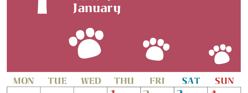 2026年1月カレンダーは縦型月曜始まりで猫の肉球がおしゃれかわいいカラフルな無料イラスト付き素材♪(2026-01270111)