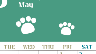 2026年5月カレンダーは縦型月曜始まりで猫の肉球がおしゃれかわいいカラフルな無料イラスト付き素材♪(2026-01270511)