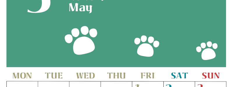 2026年5月カレンダーは縦型月曜始まりで猫の肉球がおしゃれかわいいカラフルな無料イラスト付き素材♪(2026-01270511)