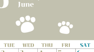 2026年6月カレンダーは縦型月曜始まりで猫の肉球がおしゃれかわいいカラフルな無料イラスト付き素材♪(2026-01270611)