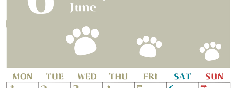 2026年6月カレンダーは縦型月曜始まりで猫の肉球がおしゃれかわいいカラフルな無料イラスト付き素材♪(2026-01270611)