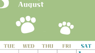 2026年8月カレンダーは縦型月曜始まりで猫の肉球がおしゃれかわいいカラフルな無料イラスト付き素材♪(2026-01270811)