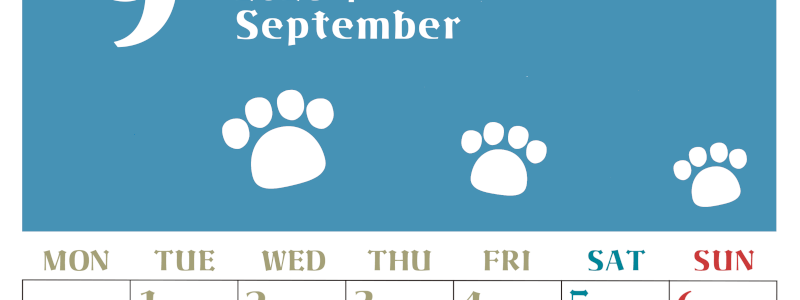 2026年9月カレンダーは縦型月曜始まりで猫の肉球がおしゃれかわいいカラフルな無料イラスト付き素材♪(2026-01270911)