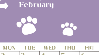 2026年2月カレンダーは縦型日曜始まりで猫の肉球がおしゃれかわいいカラフルな無料イラスト付き素材♪(2026-01270210)