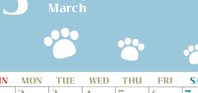 2026年3月カレンダーは縦型日曜始まりで猫の肉球がおしゃれかわいいカラフルな無料イラスト付き素材♪(2026-01270310)