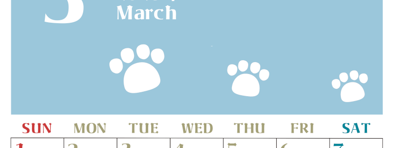 2026年3月カレンダーは縦型日曜始まりで猫の肉球がおしゃれかわいいカラフルな無料イラスト付き素材♪(2026-01270310)
