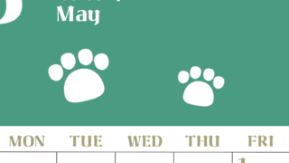 2026年5月カレンダーは縦型日曜始まりで猫の肉球がおしゃれかわいいカラフルな無料イラスト付き素材♪(2026-01270510)