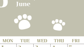 2026年6月カレンダーは縦型日曜始まりで猫の肉球がおしゃれかわいいカラフルな無料イラスト付き素材♪(2026-01270610)
