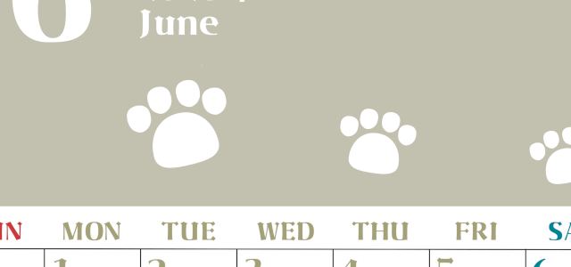 2026年6月カレンダーは縦型日曜始まりで猫の肉球がおしゃれかわいいカラフルな無料イラスト付き素材♪(2026-01270610)