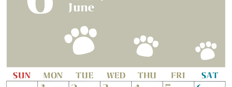 2026年6月カレンダーは縦型日曜始まりで猫の肉球がおしゃれかわいいカラフルな無料イラスト付き素材♪(2026-01270610)