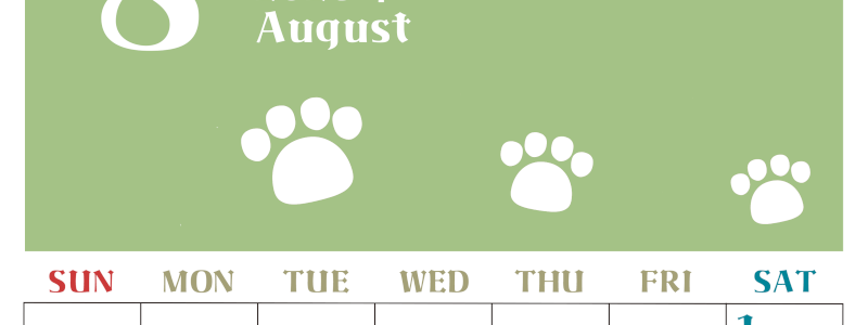 2026年8月カレンダーは縦型日曜始まりで猫の肉球がおしゃれかわいいカラフルな無料イラスト付き素材♪(2026-01270810)