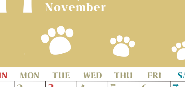2026年11月カレンダーは縦型日曜始まりで猫の肉球がおしゃれかわいいカラフルな無料イラスト付き素材♪(2026-01271110)