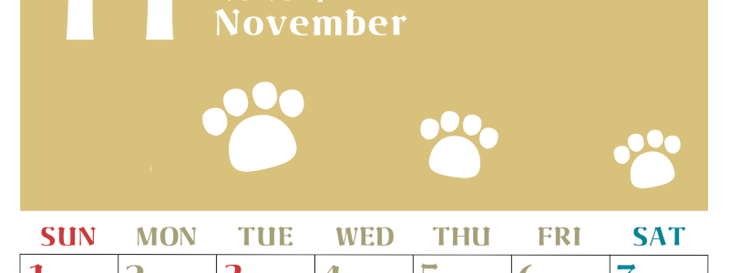 2026年11月カレンダーは縦型日曜始まりで猫の肉球がおしゃれかわいいカラフルな無料イラスト付き素材♪(2026-01271110)