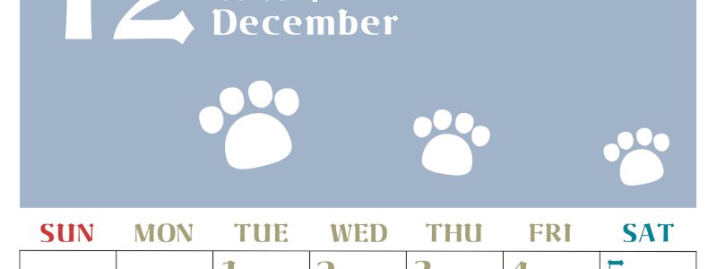 2026年12月カレンダーは縦型日曜始まりで猫の肉球がおしゃれかわいいカラフルな無料イラスト付き素材♪(2026-01271210)