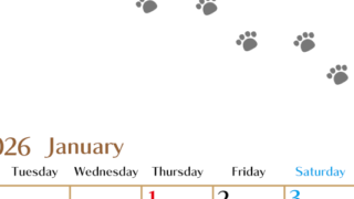 2026年1月カレンダーは縦型月曜始まりで猫の肉球にほっこり癒されるゆるおしゃれデザイン♪ダウンロードは無料♪(2026-01280111)