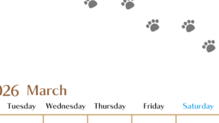 2026年3月カレンダーは縦型月曜始まりで猫の肉球にほっこり癒されるゆるおしゃれデザイン♪ダウンロードは無料♪(2026-01280311)