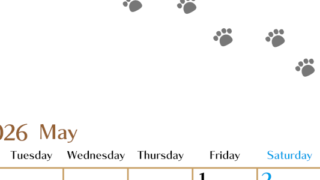 2026年5月カレンダーは縦型月曜始まりで猫の肉球にほっこり癒されるゆるおしゃれデザイン♪ダウンロードは無料♪(2026-01280511)