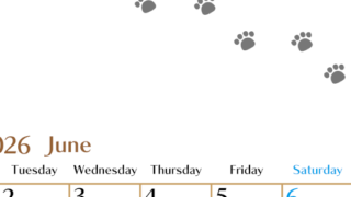 2026年6月カレンダーは縦型月曜始まりで猫の肉球にほっこり癒されるゆるおしゃれデザイン♪ダウンロードは無料♪(2026-01280611)