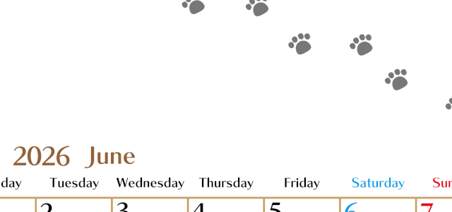 2026年6月カレンダーは縦型月曜始まりで猫の肉球にほっこり癒されるゆるおしゃれデザイン♪ダウンロードは無料♪(2026-01280611)