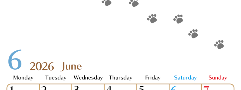 2026年6月カレンダーは縦型月曜始まりで猫の肉球にほっこり癒されるゆるおしゃれデザイン♪ダウンロードは無料♪(2026-01280611)
