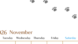 2026年11月カレンダーは縦型月曜始まりで猫の肉球にほっこり癒されるゆるおしゃれデザイン♪ダウンロードは無料♪(2026-01281111)