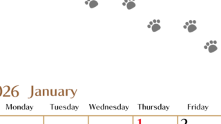 2026年1月カレンダーは縦型日曜始まりで猫の肉球にほっこり癒されるゆるおしゃれデザイン♪ダウンロードは無料♪(2026-01280110)