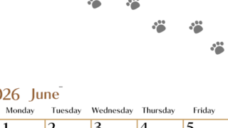 2026年6月カレンダーは縦型日曜始まりで猫の肉球にほっこり癒されるゆるおしゃれデザイン♪ダウンロードは無料♪(2026-01280610)