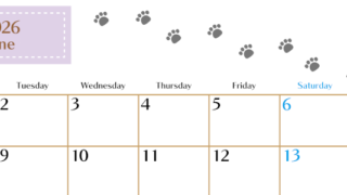 2026年6月カレンダーは横型月曜始まりで猫の肉球にほっこり癒されるゆるおしゃれデザイン♪ダウンロードは無料♪(2026-01280601)