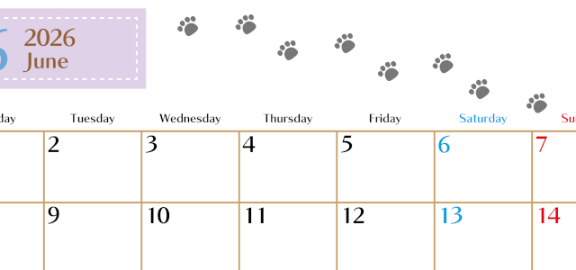2026年6月カレンダーは横型月曜始まりで猫の肉球にほっこり癒されるゆるおしゃれデザイン♪ダウンロードは無料♪(2026-01280601)