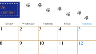 2026年12月カレンダーは横型月曜始まりで猫の肉球にほっこり癒されるゆるおしゃれデザイン♪ダウンロードは無料♪(2026-01281201)