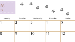 2026年6月カレンダーは横型日曜始まりで猫の肉球にほっこり癒されるゆるおしゃれデザイン♪ダウンロードは無料♪(2026-01280600)