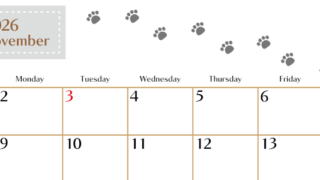 2026年11月カレンダーは横型日曜始まりで猫の肉球にほっこり癒されるゆるおしゃれデザイン♪ダウンロードは無料♪(2026-01281100)
