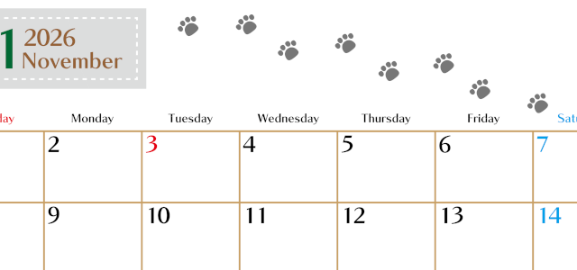 2026年11月カレンダーは横型日曜始まりで猫の肉球にほっこり癒されるゆるおしゃれデザイン♪ダウンロードは無料♪(2026-01281100)
