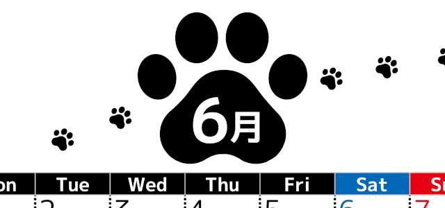 2026年6月カレンダーは縦型月曜始まりでかわいい猫の黒い足跡をテーマにしたイラスト付き♪気ままに無料ダウンロード♪(2026-01290611)