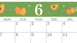 2027年6月横型の日曜始まり びわのイラストがかわいいA4無料カレンダー