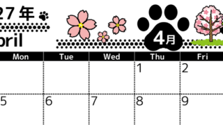 2027年4月横型の日曜始まり 黒猫と桜の木のイラストのかわいいA4無料カレンダー 【No.202700260400】