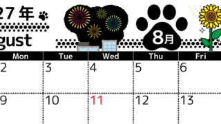 2027年8月横型の日曜始まり 黒猫と夏と花火のイラストのかわいいA4無料カレンダー 【No.202700260800】