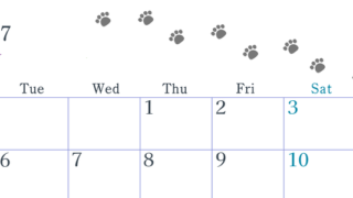 2027年7月カレンダーは横型月曜始まり で猫が自由気ままに歩き回った足あとがかわいい♪ダウンロード無料♪ 【No.202701260701】