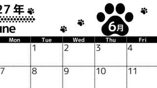 6月カレンダー2027年は横型日曜始まりでかわいい猫の黒い足跡イラスト付き♪印刷インクの節約もできる♪ 【No.202701290600】