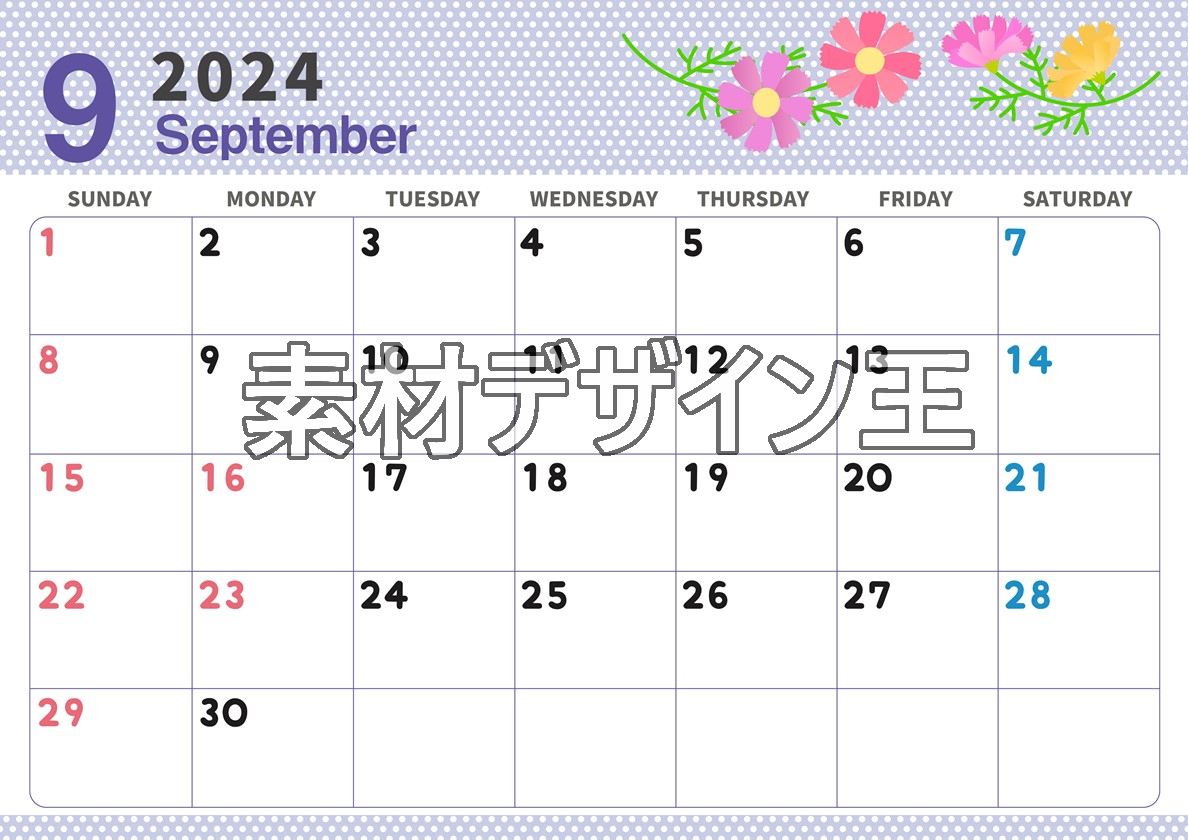 2024年9月横型の日曜始まり コスモスがおしゃれなイラストカレンダー