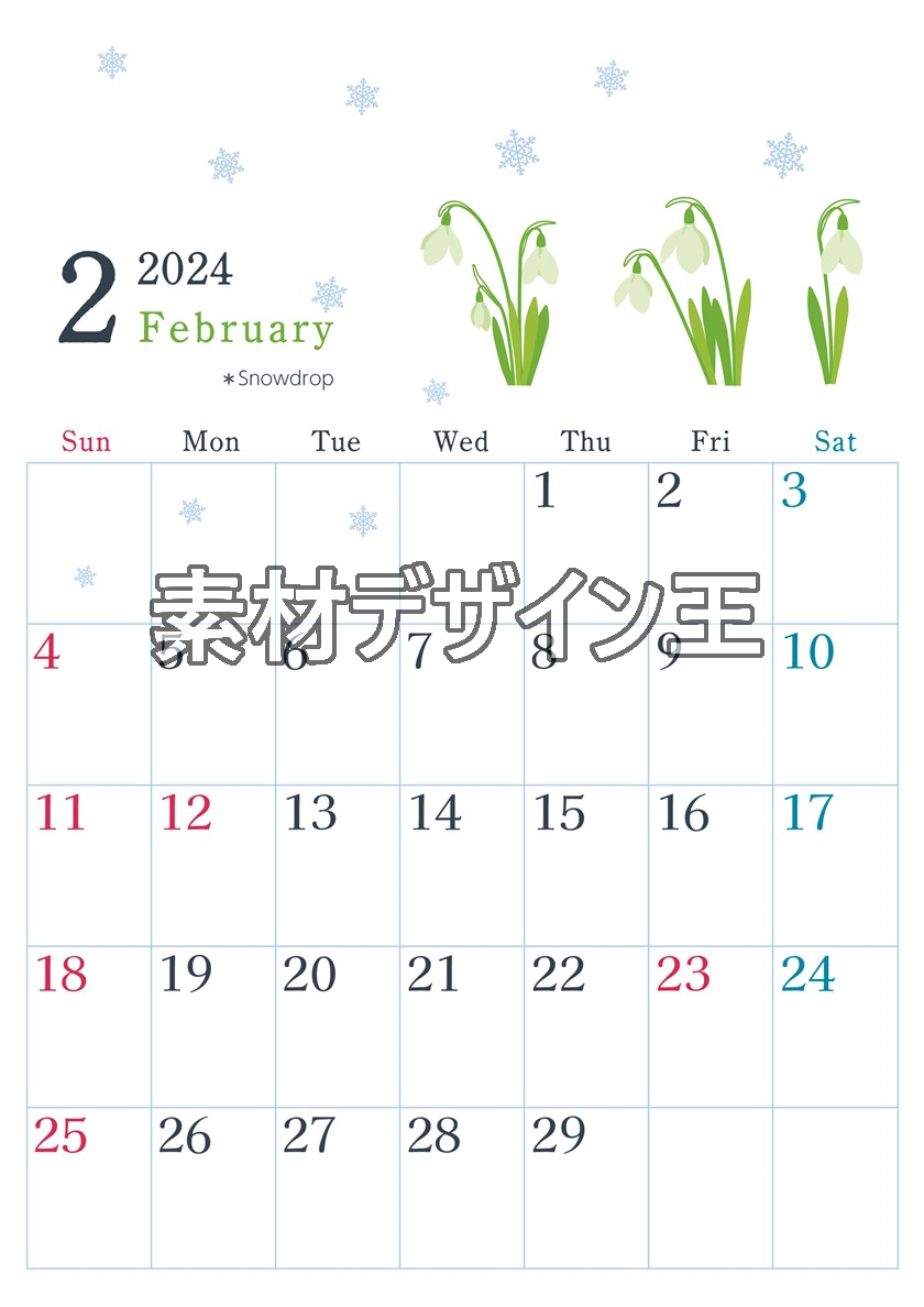 2024年2月縦型の日曜始まり 白い花がかわいいイラストカレンダー