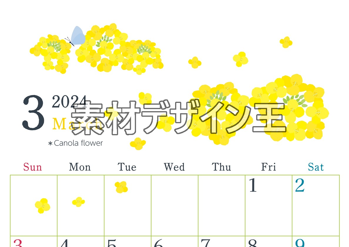 2024年3月縦型の日曜始まり 菜の花イラストのかわいいカレンダー