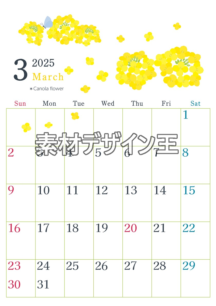 2025年3月縦型の日曜始まり 菜の花イラストのかわいいA4無料カレンダー