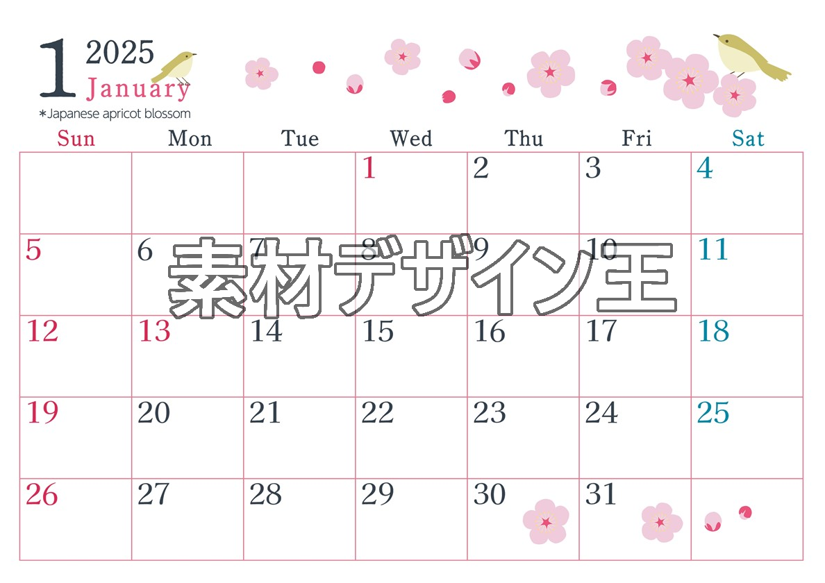 0019-2025年1月カレンダー 横型・日曜始まり